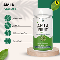 Bloofah Amla Fruit Capsules 500mg  | 100% Natural & Pure Amla Extract 10:1 (Phyllanthus emblica) Per Serving 5000mg | Herbal Supplement | Non-GMO, Gluten Free Formula for Overall Health