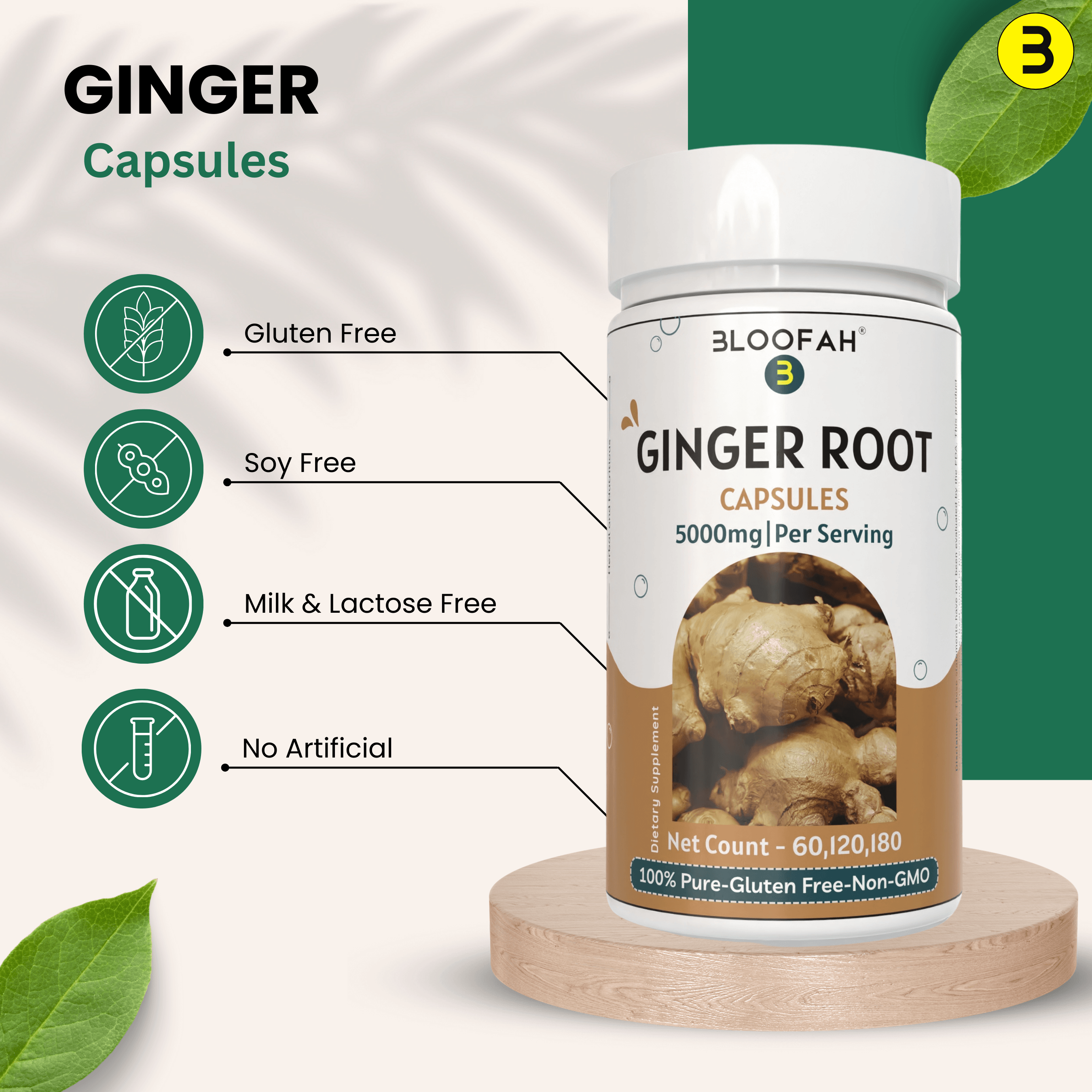 Bloofah Ginger Root Capsules 500mg | Non-GMO, Gluten Free Formula | 100% Pure Ginger (Zingiber officinale) Root Extract 10:1 Powder Herbal Supplement for Overall Health - Bloofah