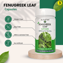 Bloofah Fenugreek Leaf Extract Capsules 500mg | 100% Pure Fenugreek Leaf Powder (Trigonella foenum-graecum) for Overall Good Health | Extra Strength 5000mg Per Serving - Bloofah