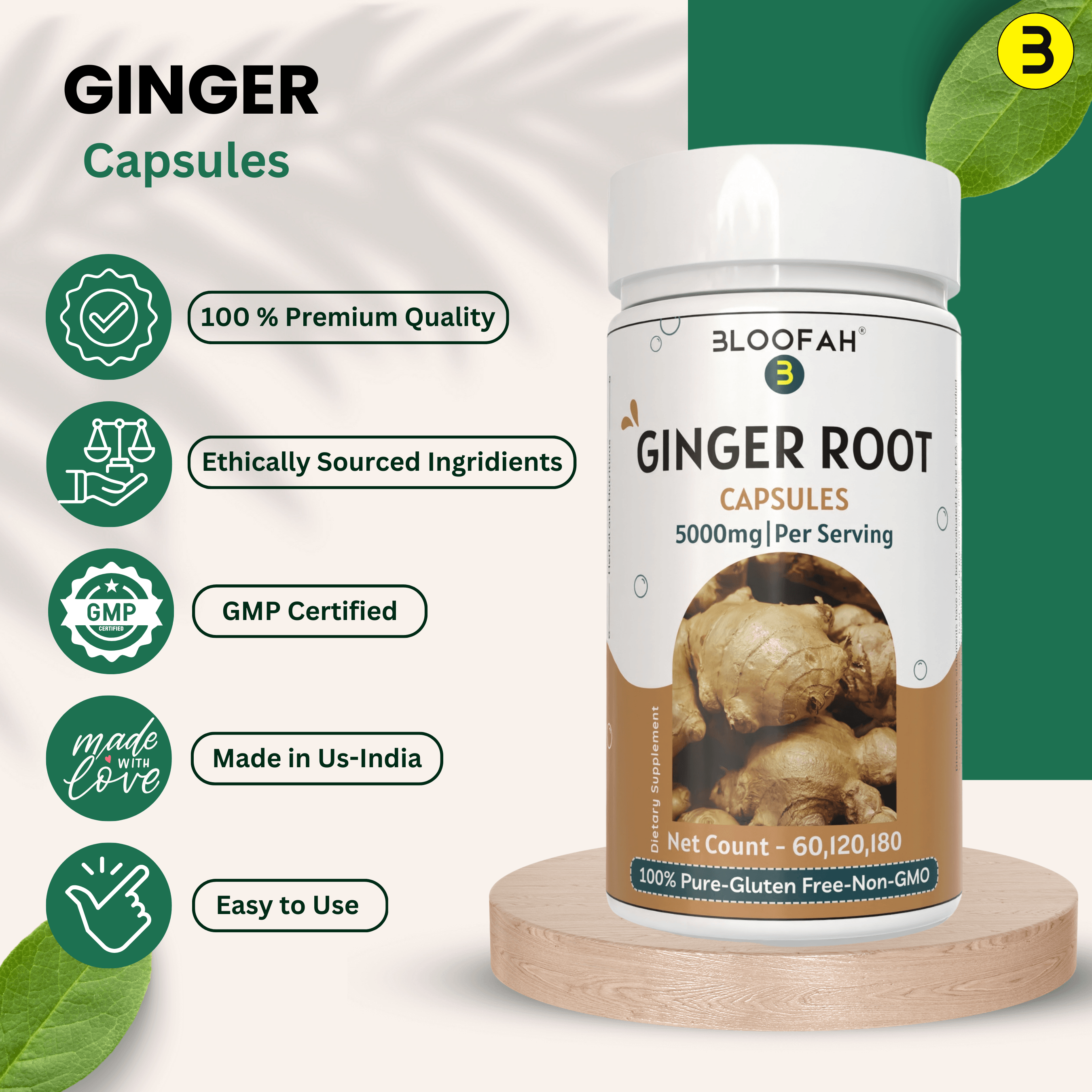 Bloofah Ginger Root Capsules 500mg | Non-GMO, Gluten Free Formula | 100% Pure Ginger (Zingiber officinale) Root Extract 10:1 Powder Herbal Supplement for Overall Health - Bloofah