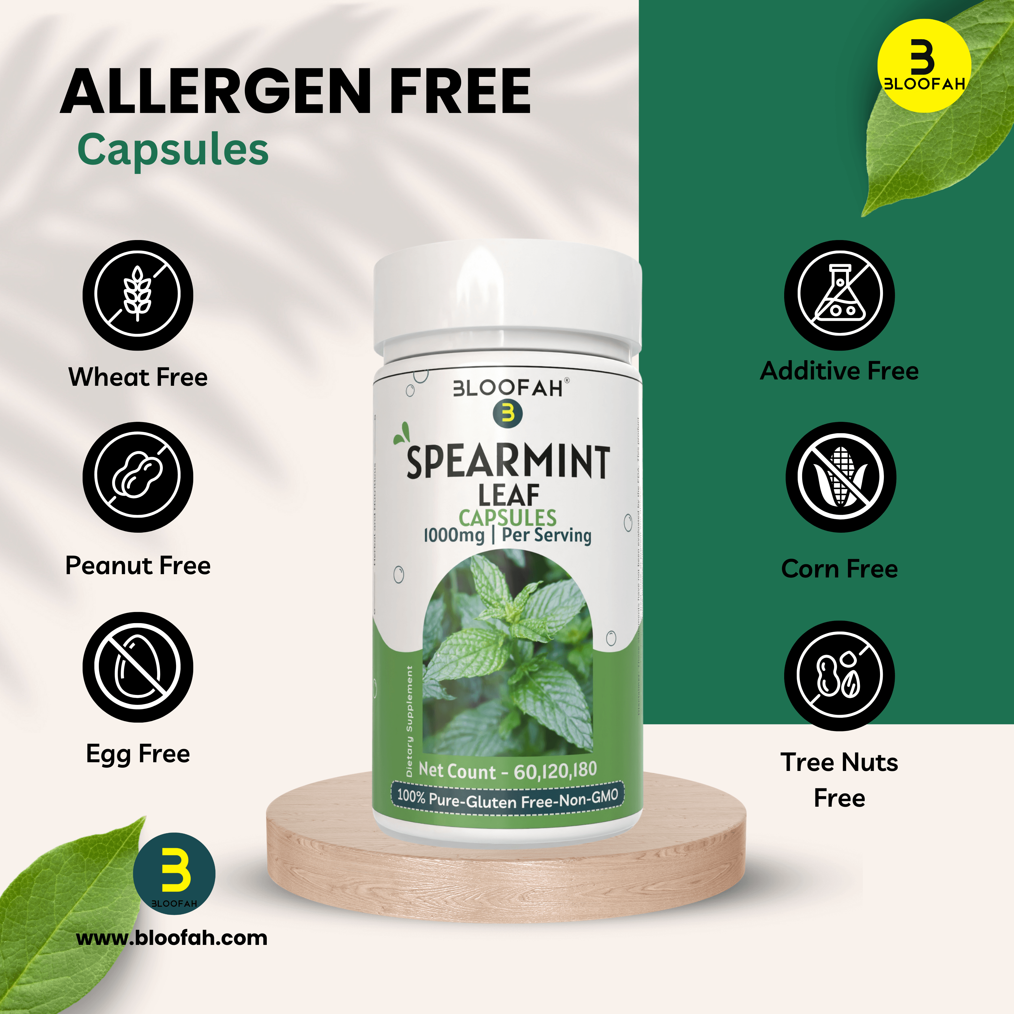 Bloofah Spearmint Leaf Supplement | Spearmint (Mentha spicata) Powder | 100% Pure, Natural, Gluten-Free Formula Herbal Supplements for Overall Wellness | 1000mg Per Serving - Bloofah