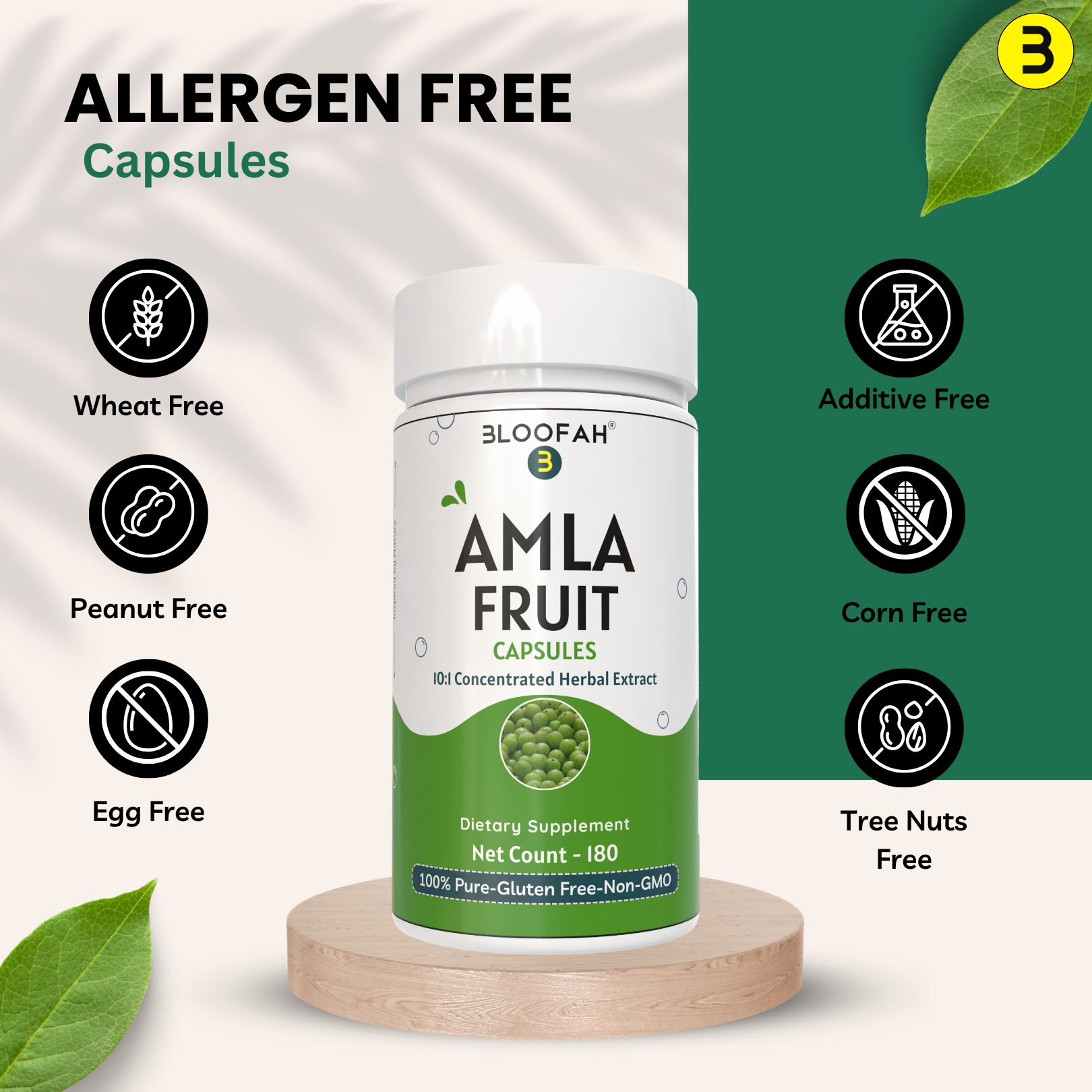 Bloofah Amla Fruit Capsules 500mg  | 100% Natural & Pure Amla Extract 10:1 (Phyllanthus emblica) Per Serving 5000mg | Herbal Supplement | Non-GMO, Gluten Free Formula for Overall Health