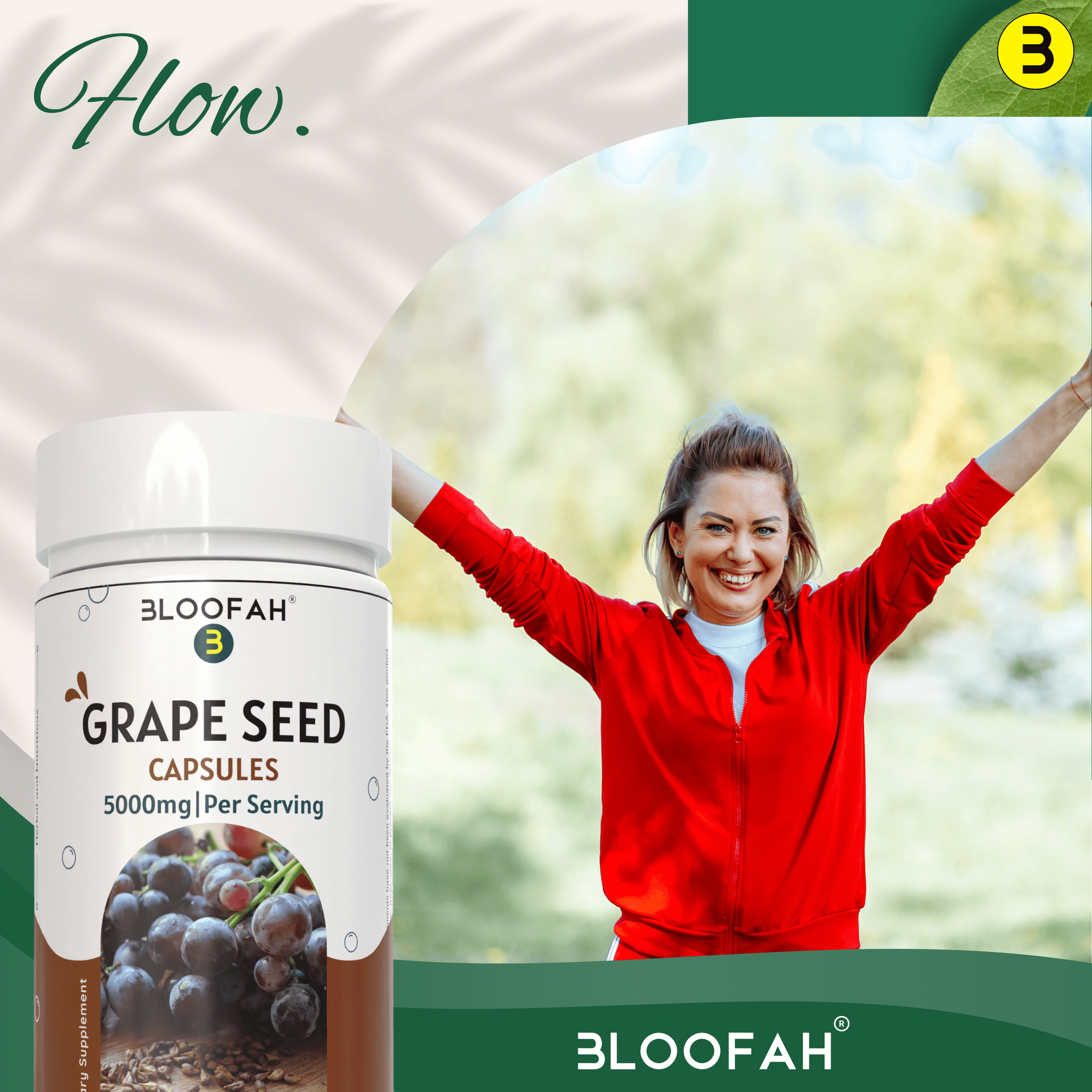 Bloofah Grape Seed Capsules 500mg | Extra Strength 10:1 Extract Powder 5000mg Per Serving (Vitis vinifera) Natural Herbal Supplement, Non-GMO, Gluten-Free - Bloofah