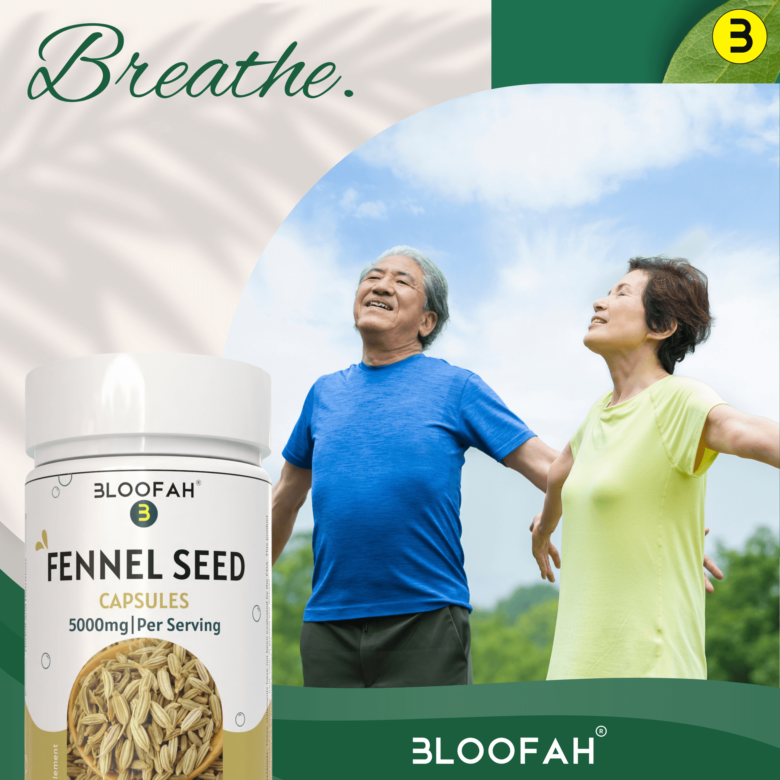 Bloofah Fennel Seed Capsules 5000mg | 100% Pure Fennel Seed Extract 10:1 (Foeniculum vulgare) Powder | Non-GMO, Gluten Free Formula for Overall Health Supplement - Bloofah