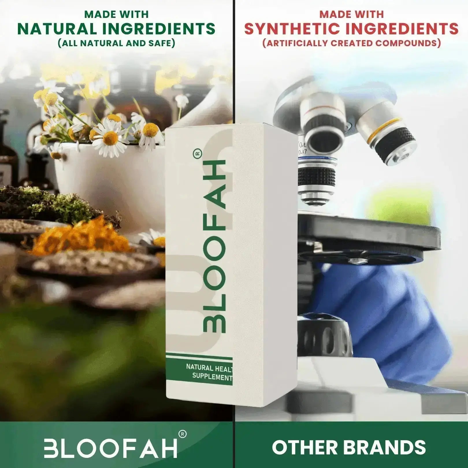 Bloofah Bibhitaki Capsules 500mg | 100% Natural Bibhitaki (Terminalia bellirica) Fruit Powder Extract 10:1 Per Serving 5000mg | Gluten Free & Non-GMO Formula for Overall Health Wellness - Bloofah